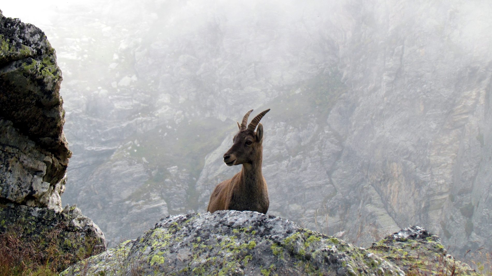 Fotografia di Matteo Tedde