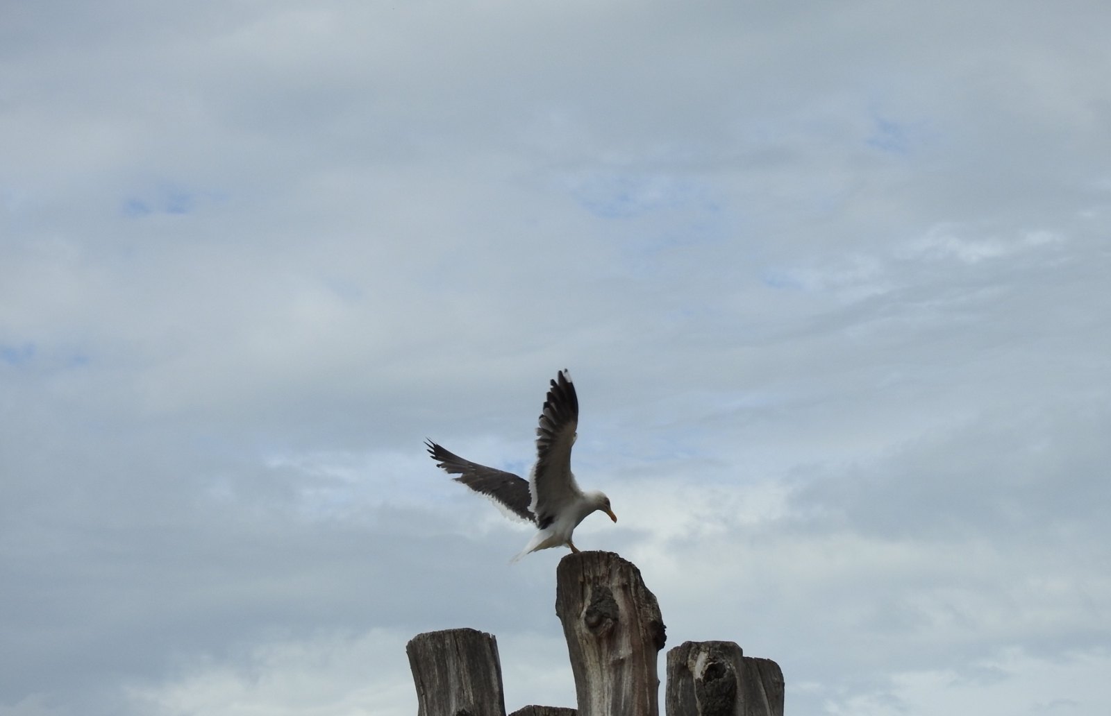 Fotografia di paesaggio
